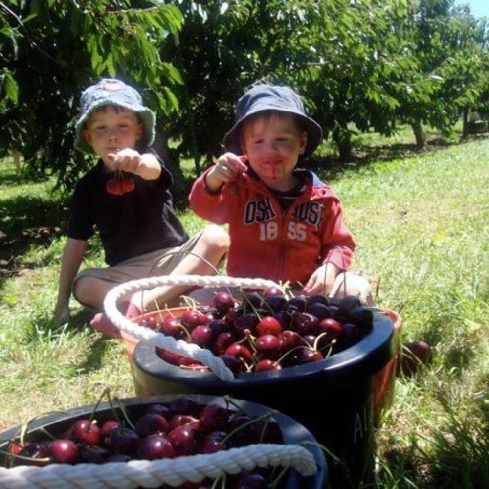 Meet your Posher, Helen
